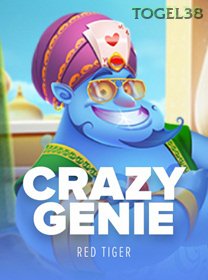 Crazy Genie game cover